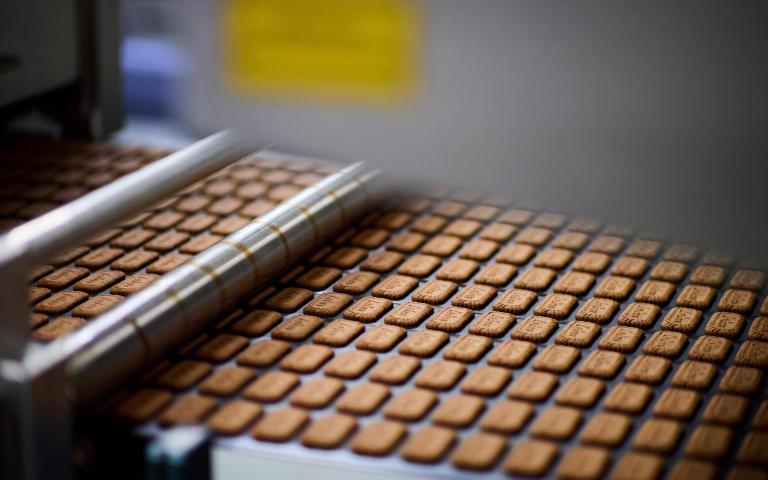 Biscoff cookie production