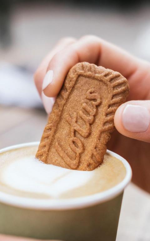 Lotus Biscoff Cookie